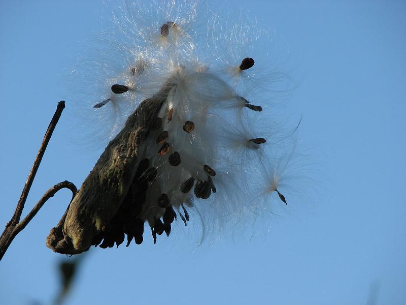 2008-10-11_Tiverton_Trustom 072.jpg